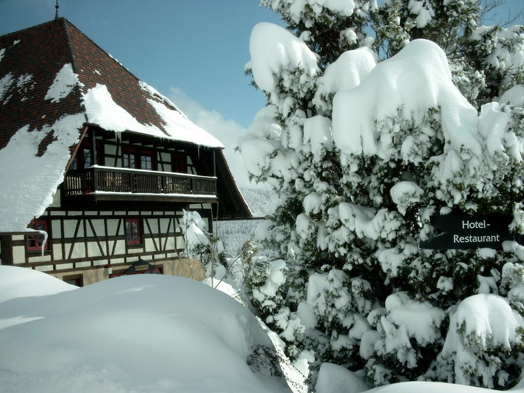 Hotel Hofgut Hohenkarpfen Hausen ob Verena Exterior foto